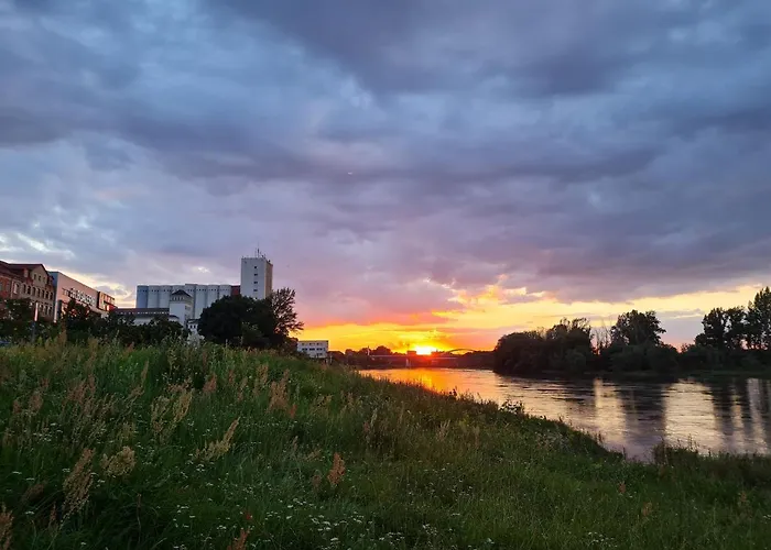 Vogelnest Riesa